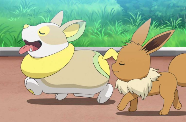 Pokemon Sword and Shield Episode 49 English Dubbed