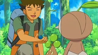 Pokemon Diamond and Pearl Episode 14 English Dubbed